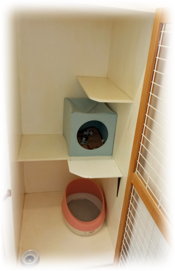 猫部屋